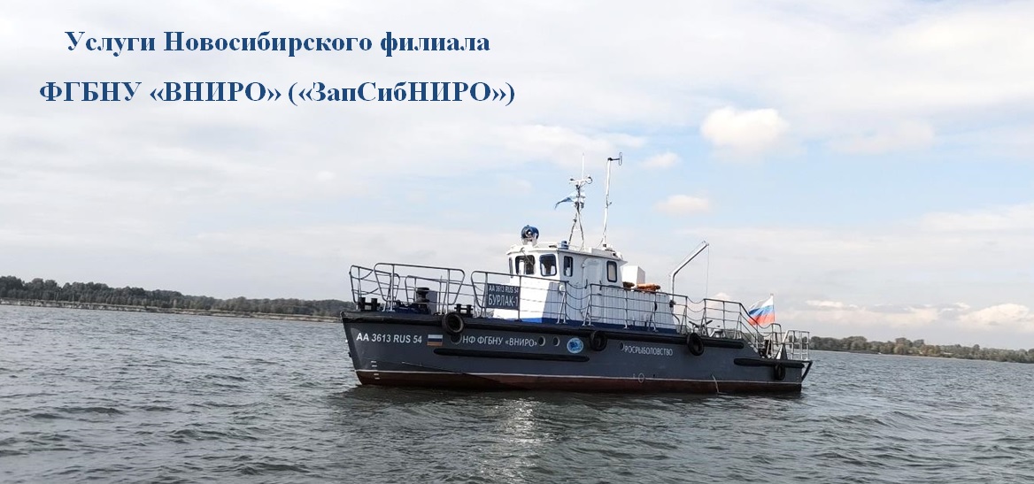 корабль